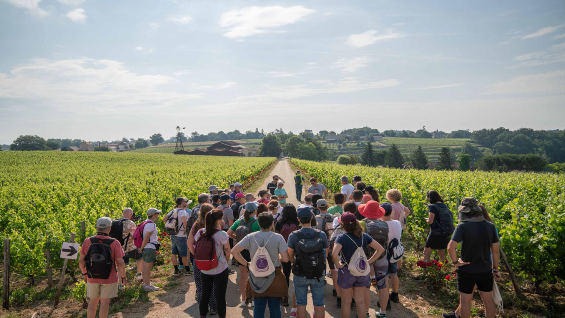 Des randonneurs dans un vignoble