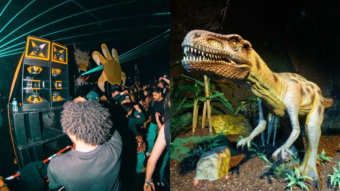 Une soirée FFR et une structure de dinosaure © Noe777
